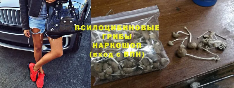 купить наркотик  hydra ТОР  Псилоцибиновые грибы Magic Shrooms  Галич 